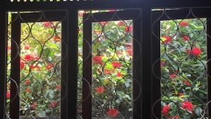 Une vue à travers une grille en fer forgé, avec un jardin en arrière-plan.