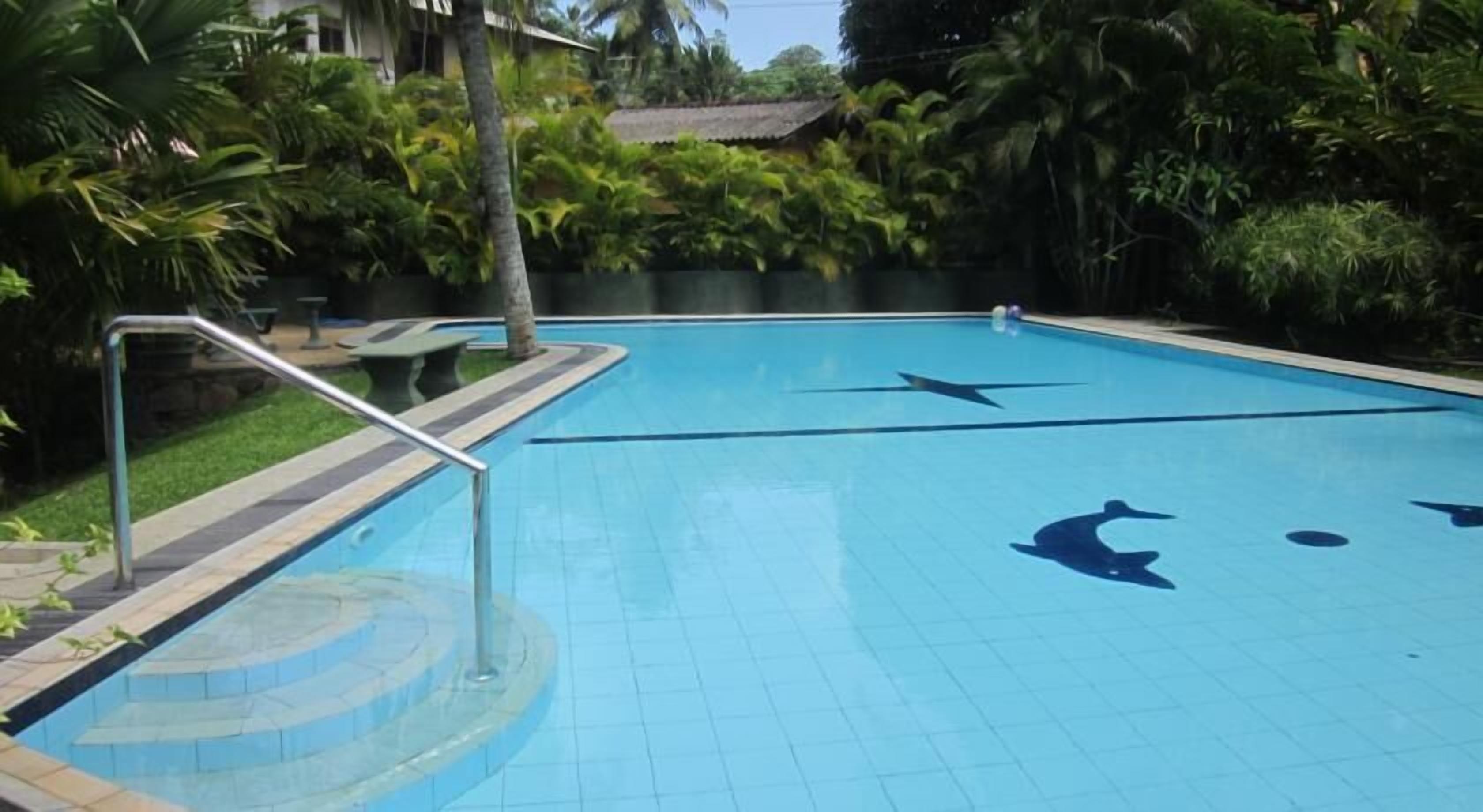 A swimming pool with a dolphin mural, surrounded by lush greenery and a small table.