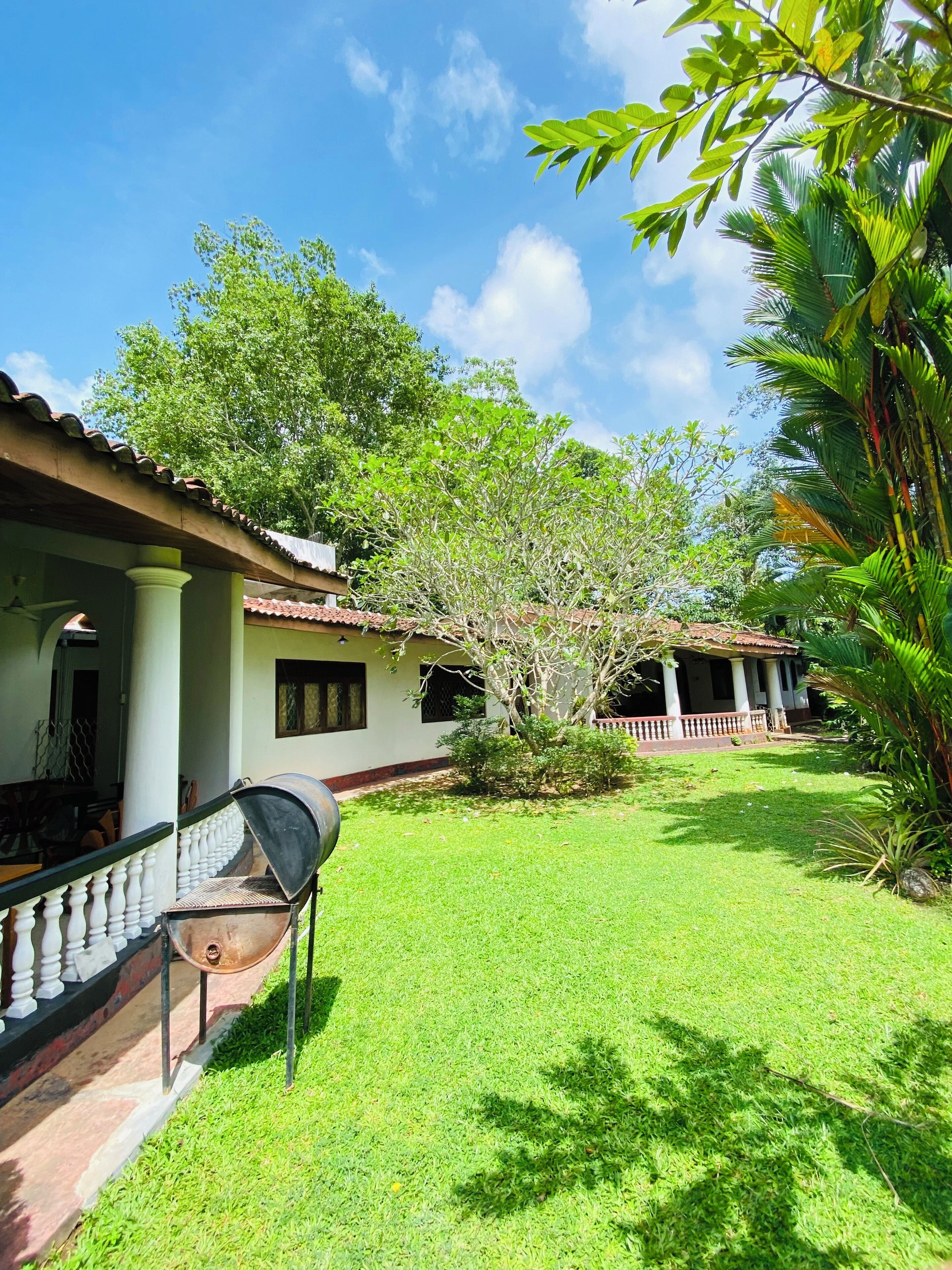 Jardim