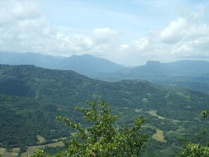 Uitzicht vanuit accommodatie