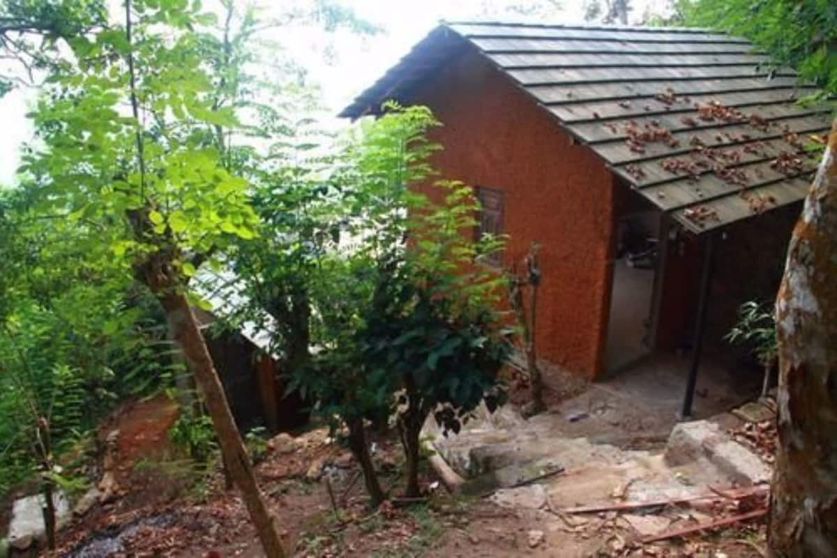 A rustic building with a sloped roof, surrounded by dense greenery and trees.