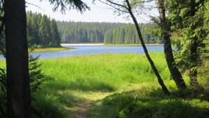 A forested area with a lake and a path leading to it. - Pension & FeWo's Talblick (Eibenstock)