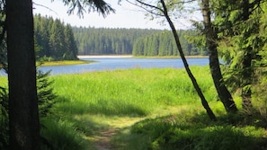 Hiking