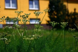 Exterior - Pension & FeWo's Talblick (Eibenstock)