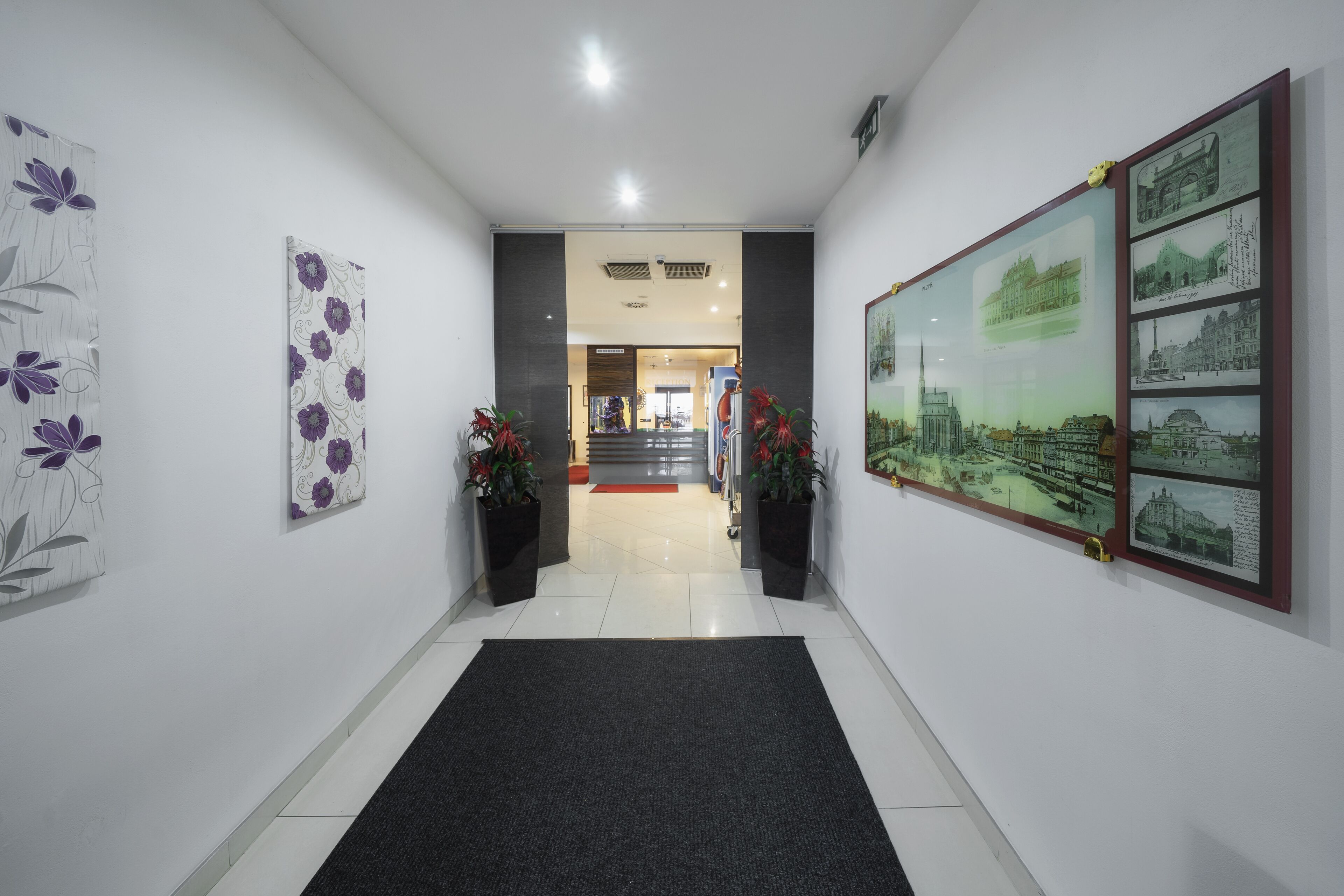 A hallway with artwork on the walls, a black carpet, and potted plants.