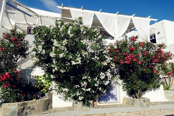 บริเวณที่พัก