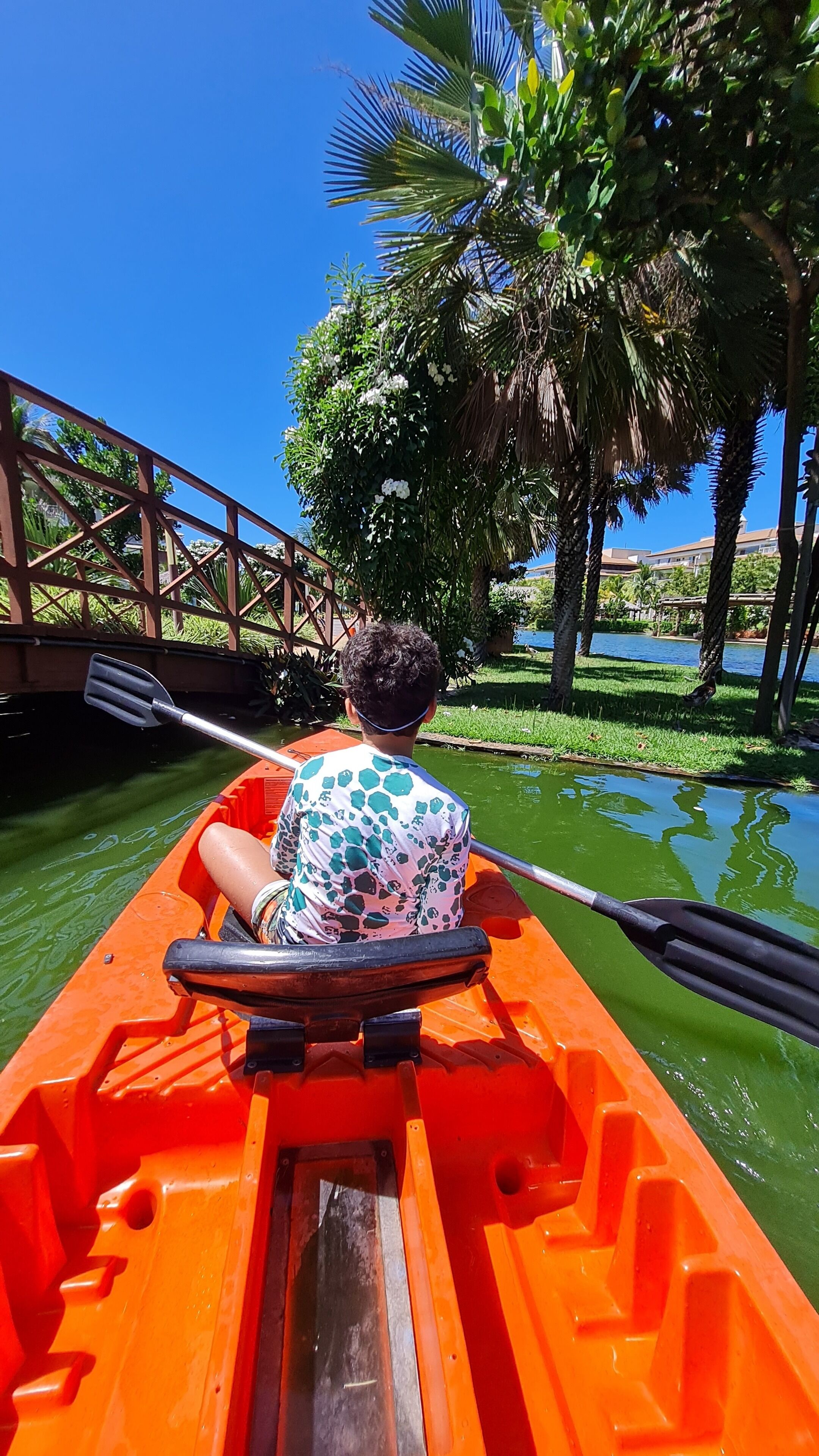 Uma pessoa em um barco a remo em um curso d'água, com uma ponte e palmeiras ao fundo.