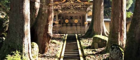 A pathway leading to a traditional Japanese structure surrounded by large trees.