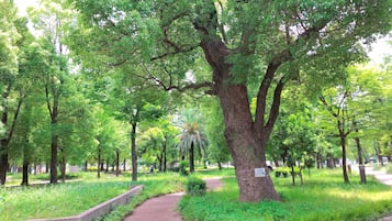 Children’s play area – outdoor