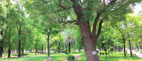 Zona de juegos infantil al aire libre