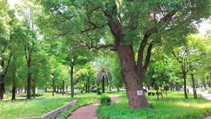 Außen-Kinderspielplatz
