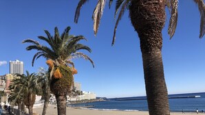 Eine Uferpromenade mit Palmen, einem Strand und einer Stadtlandschaft im Hintergrund.