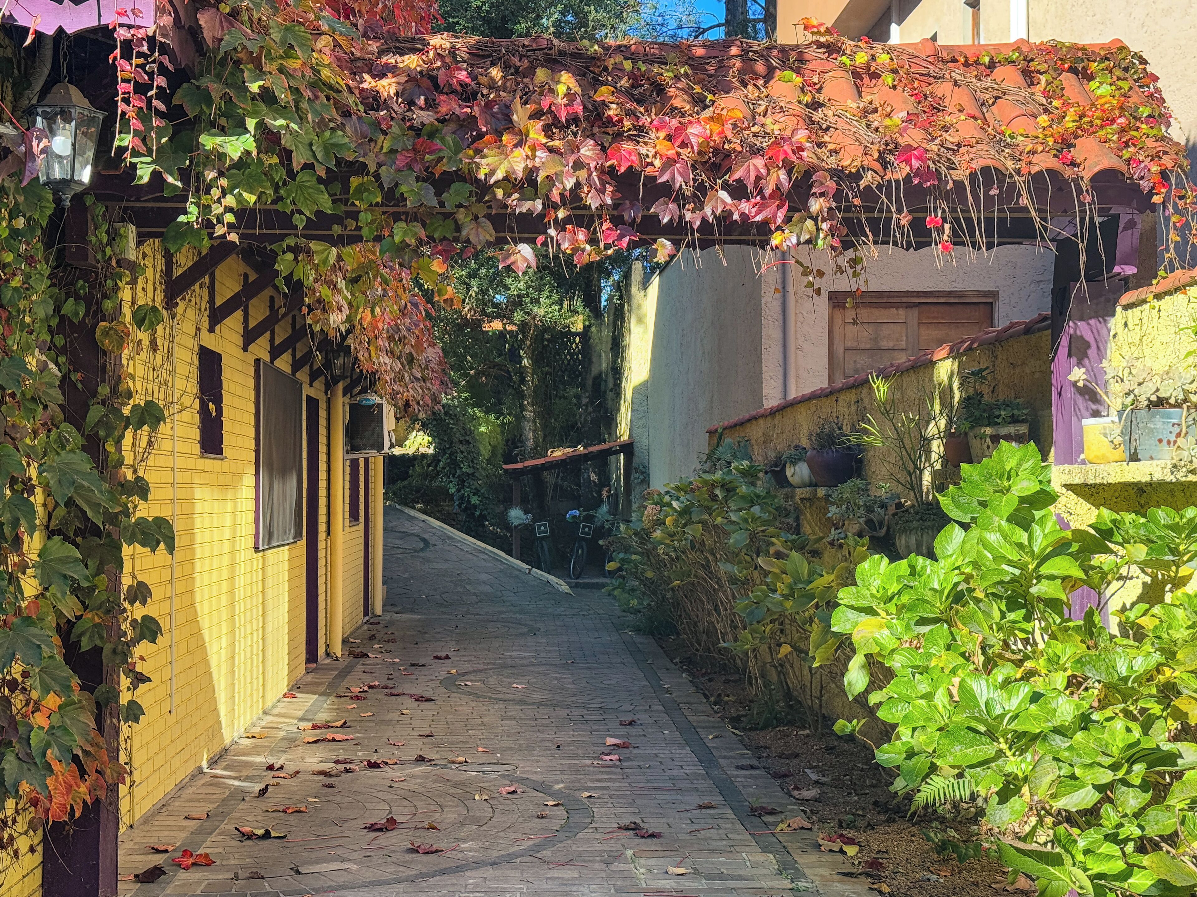 Photo - Petit Hotel Provence Gramado