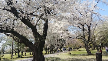 観光スポット