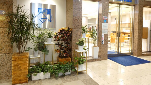 Un hall de hotel con mostrador de recepción, plantas en macetas y una alfombra azul que conduce a la entrada.