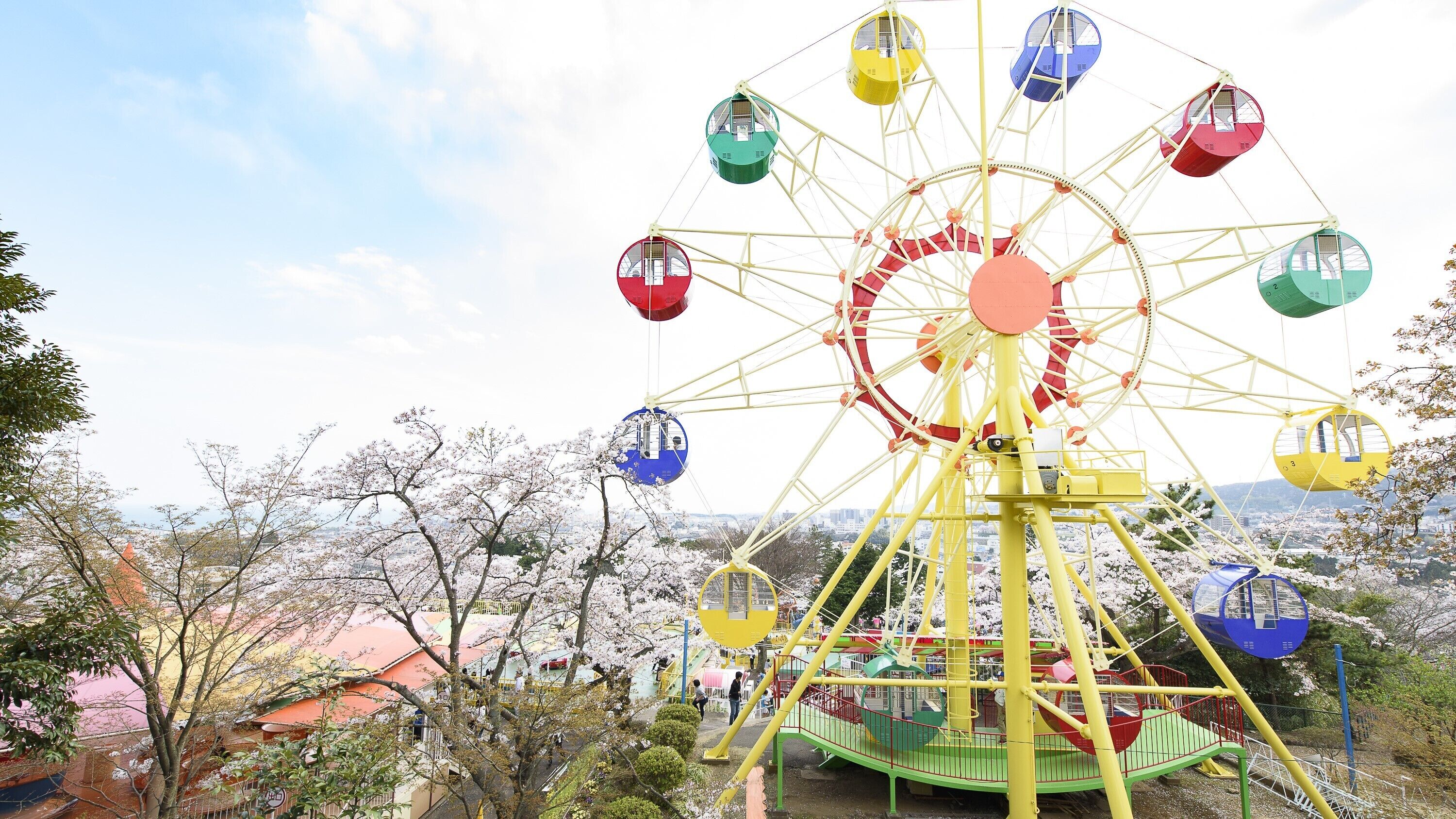 Une grande roue, dotée de nombreuses cabines colorées, entourée d’arbres en fleurs.