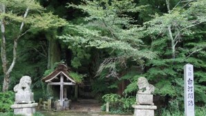 A traditional Japanese garden with stone lanterns, a wooden structure, and a pathway leading through lush greenery. - Toyoko Inn Shin Shirakawa Station (Nishigo)
