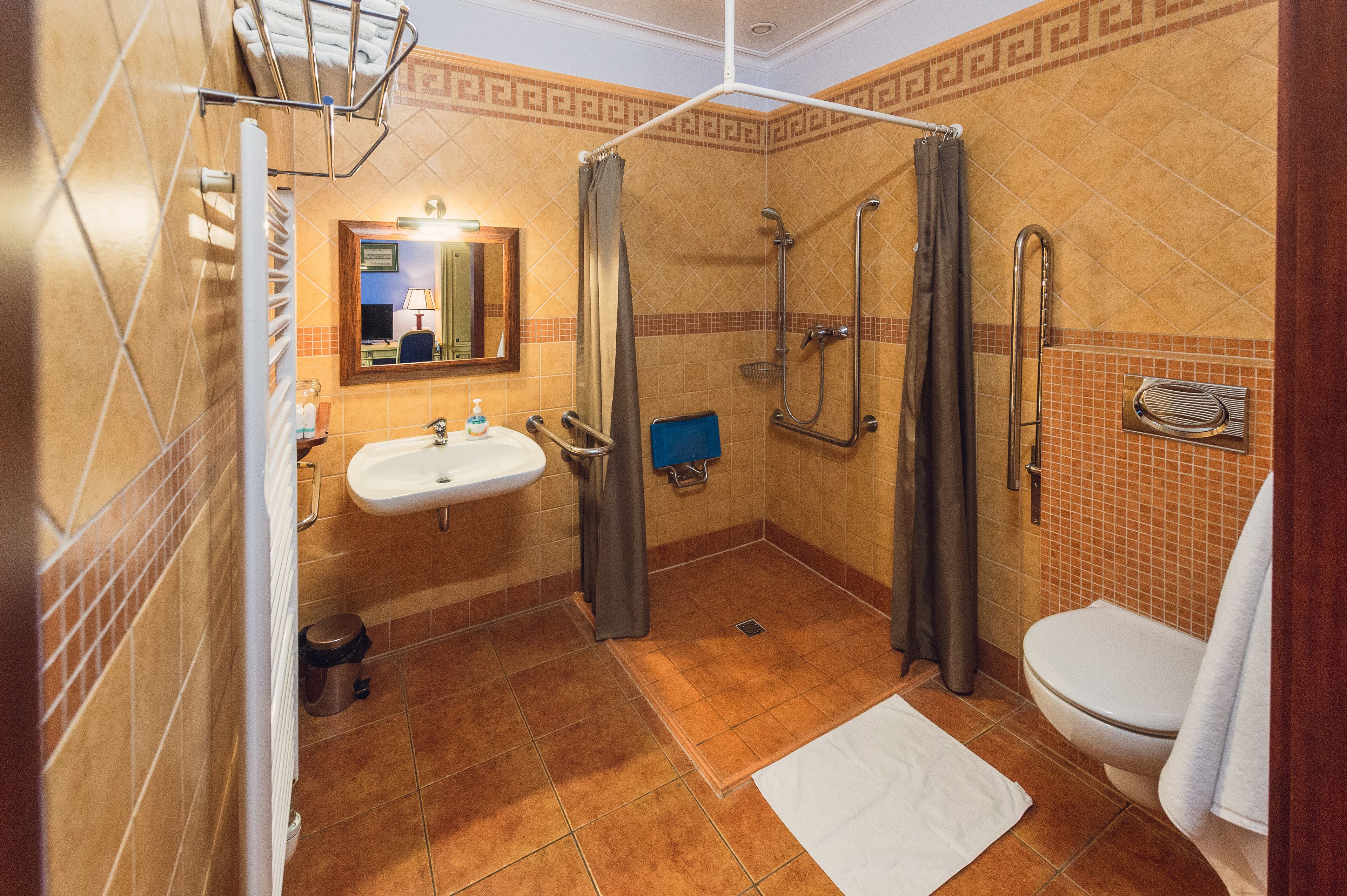 shower, free toiletries, hair dryer, towels