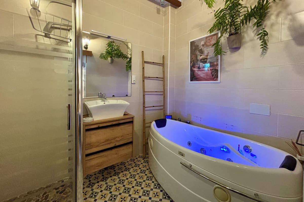 Standard Double Room | Bathroom | Shower, free toiletries, hair dryer, towels