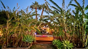 Un sendero en un jardín tropical que lleva a un espacio de descanso con palmeras y una terraza de madera.