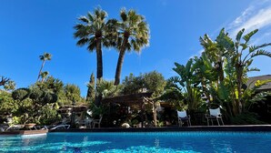 Una piscina azul cristalina rodeada de palmeras y exuberante vegetación.