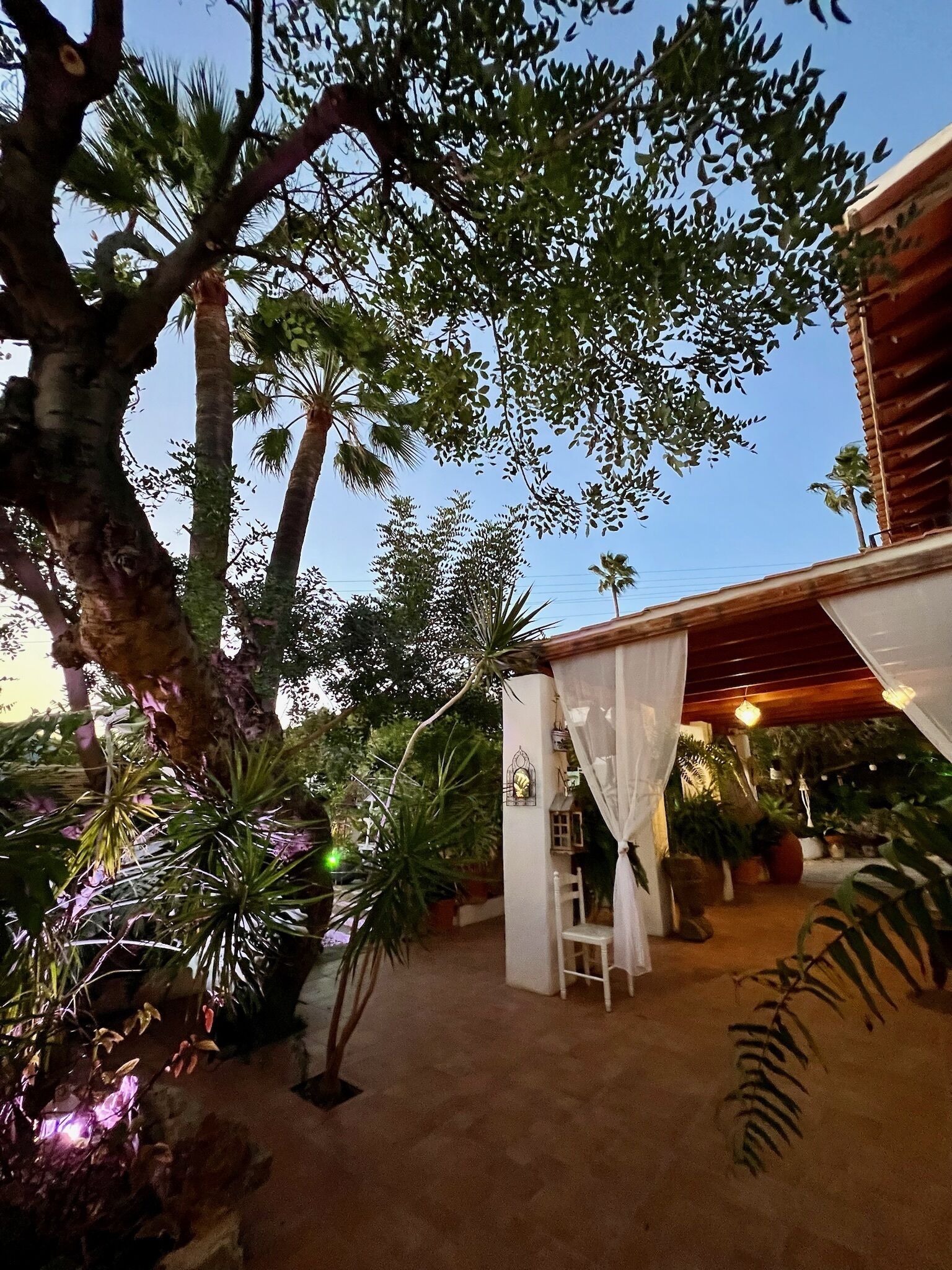 Foto - Hotel Altea Paradise 1917 - Adults Only