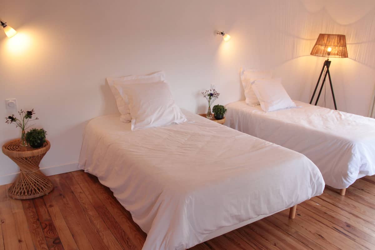 Una habitación con dos camas, suelo de madera, una pequeña mesa redonda con una planta y una lámpara de pie.