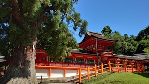 A traditional Japanese temple with a large tree in the foreground, stone steps leading up to the entrance, and red and white buildings. - Toyoko Inn Kintetsu Nara Ekimae (Nara)