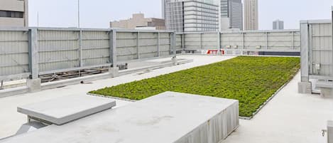 Terraza en la azotea