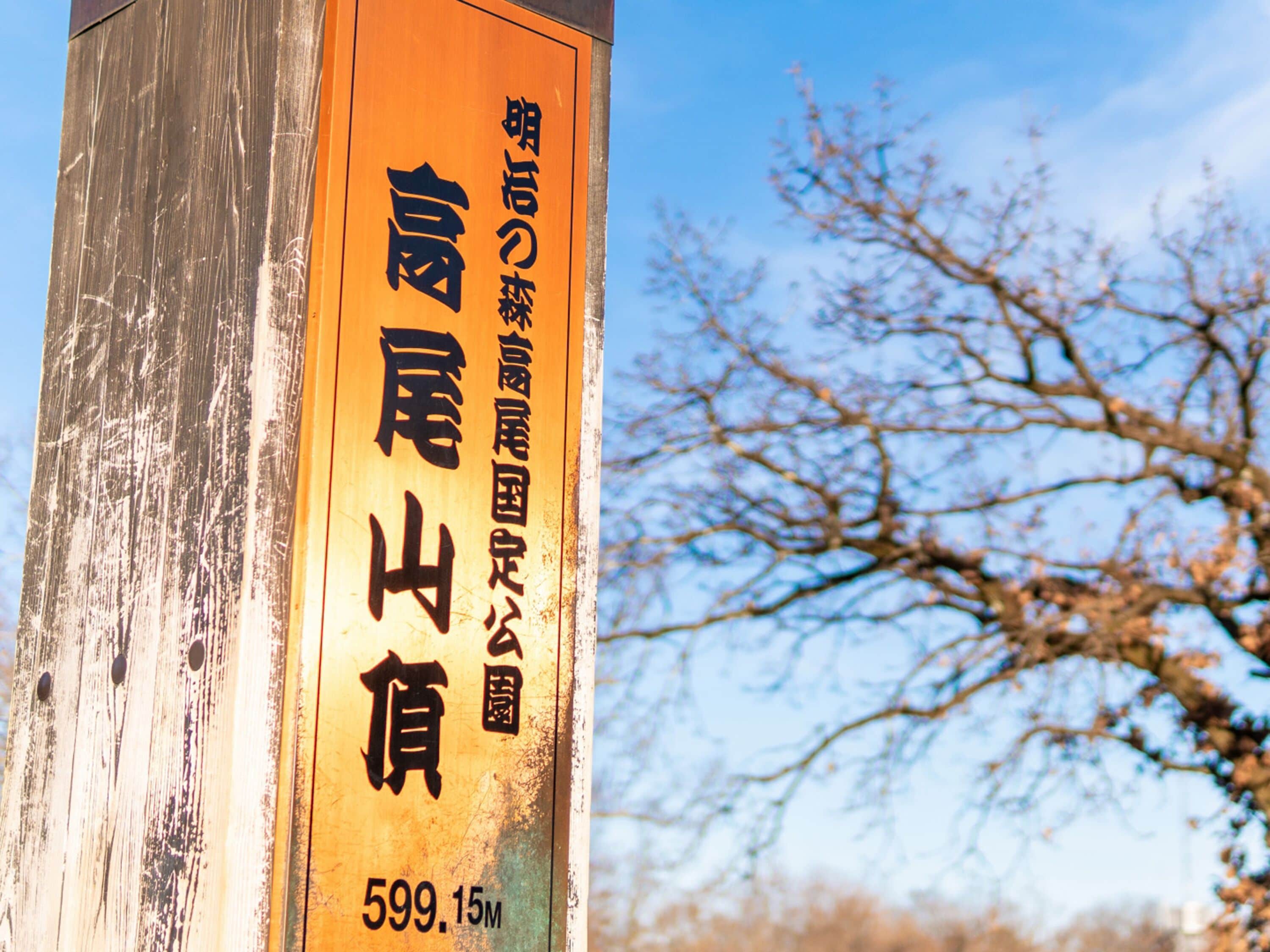 A wooden sign with Japanese text and a measurement of 599.15m.