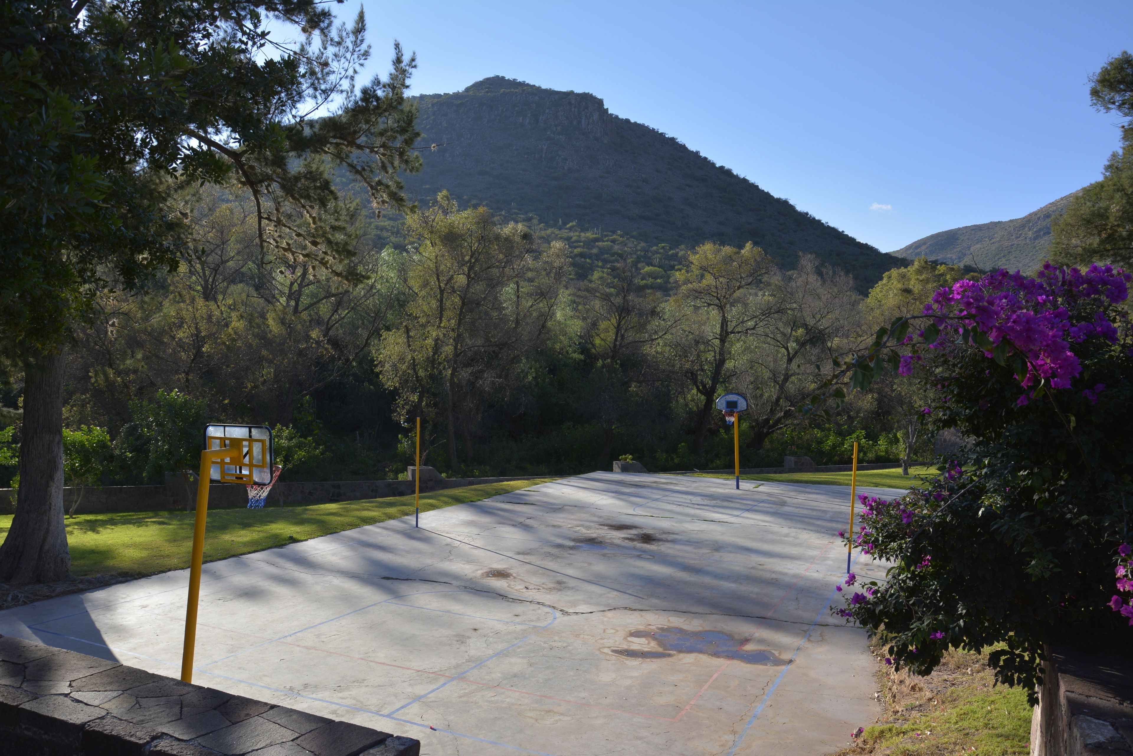 Una cancha de baloncesto al aire libre con montañas al fondo, rodeada de árboles y flores moradas.