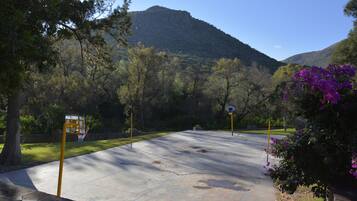 Una cancha de baloncesto al aire libre con montañas al fondo, rodeada de árboles y flores moradas.