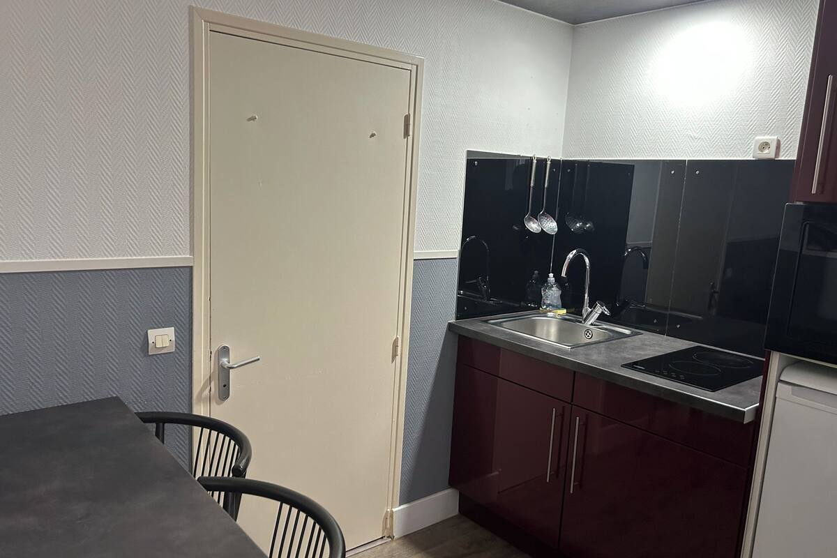 apartment (3 adults) | private kitchen | mini-fridge