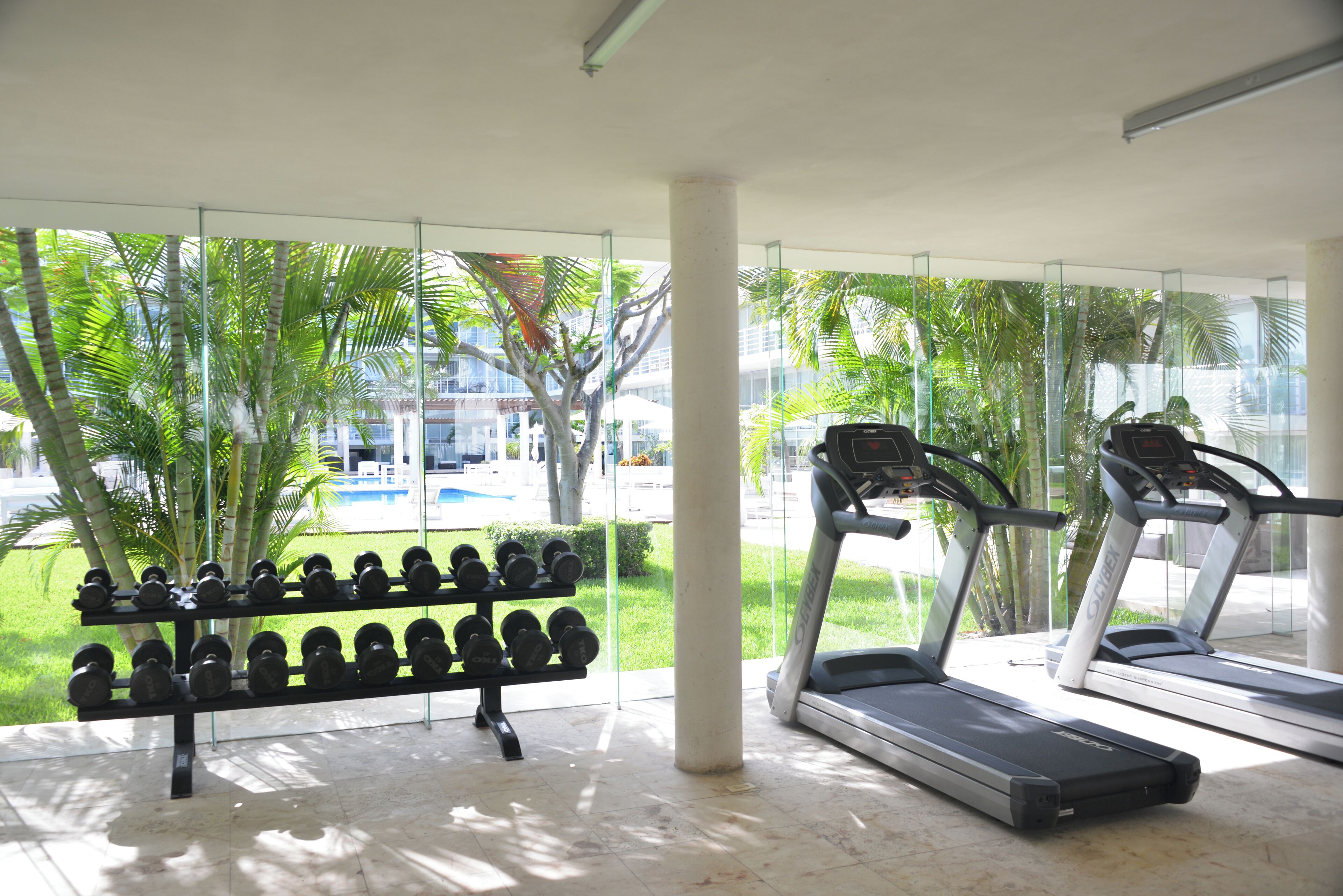 Une salle de sport équipée de tapis de course et d’une série de haltères.