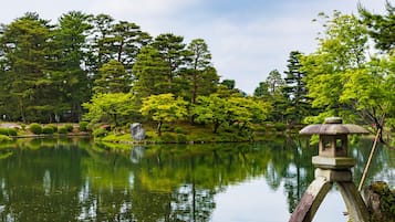 A serene pond surrounded by lush greenery and a stone lantern.