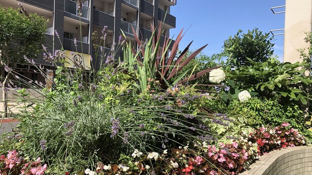 A garden with various plants and flowers, a brick wall, and a building with balconies in the background. - Toyoko Inn Kenkyu-gakuen Ekimae (Tsukuba)