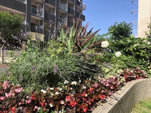 東横 INN 研究学園駅前