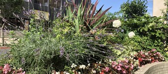 Toyoko Inn Kenkyu-gakuen Ekimae