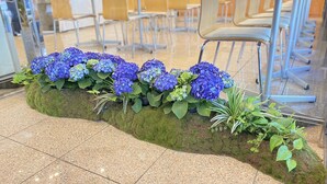 Een zithoek met tafels en stoelen, een decoratieve plantenbak begroeid met mos en blauwe bloemen, en een betegelde vloer.