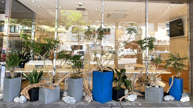 Een moderne gevel met grote glazen deuren, binnenplanten en een zichtbare straat.