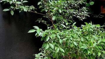 32 吋電視連有線電視頻道