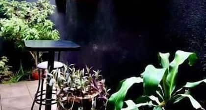 Mini Hotel | San Luis Potosí