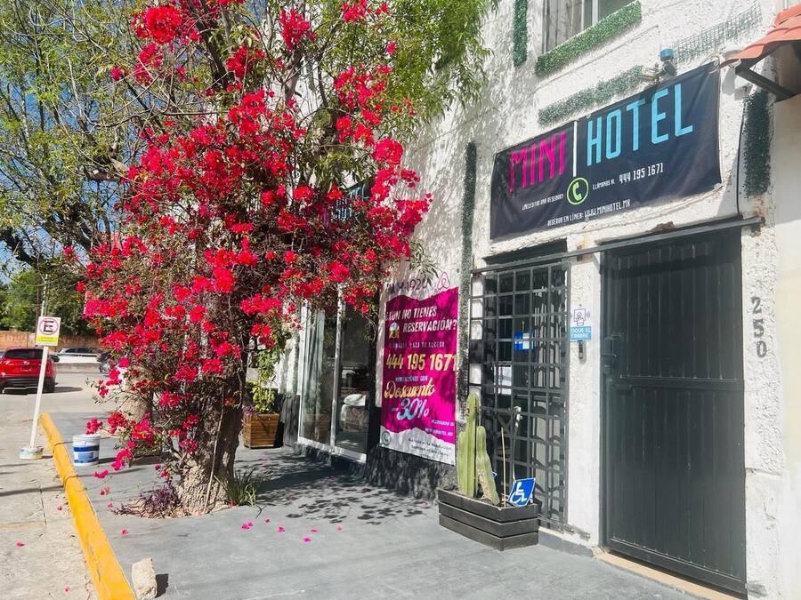A hotel with a signboard, a tree with red flowers, and a wheelchair accessibility sign.
