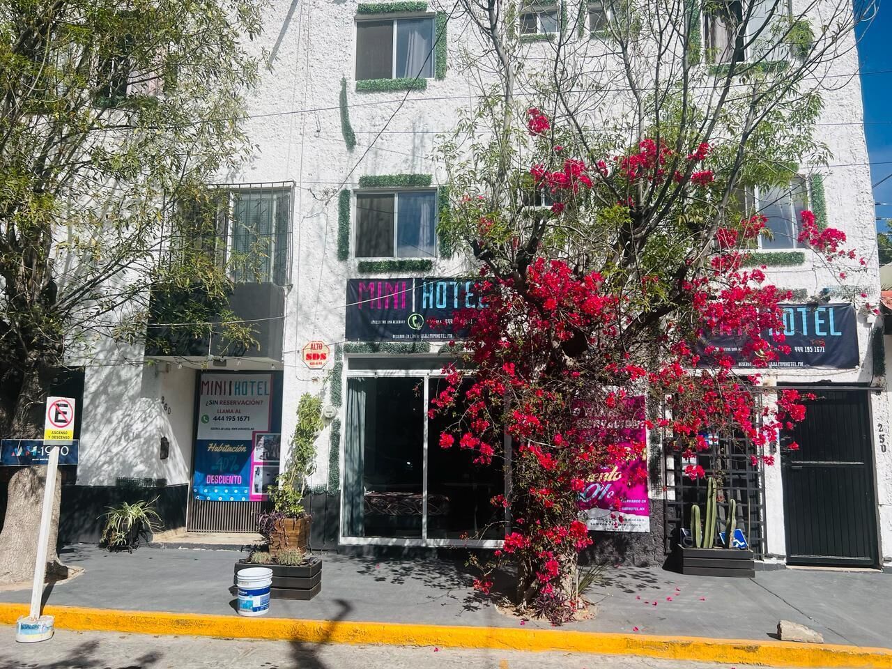 Foto - MINI HOTEL San Luis Potosí