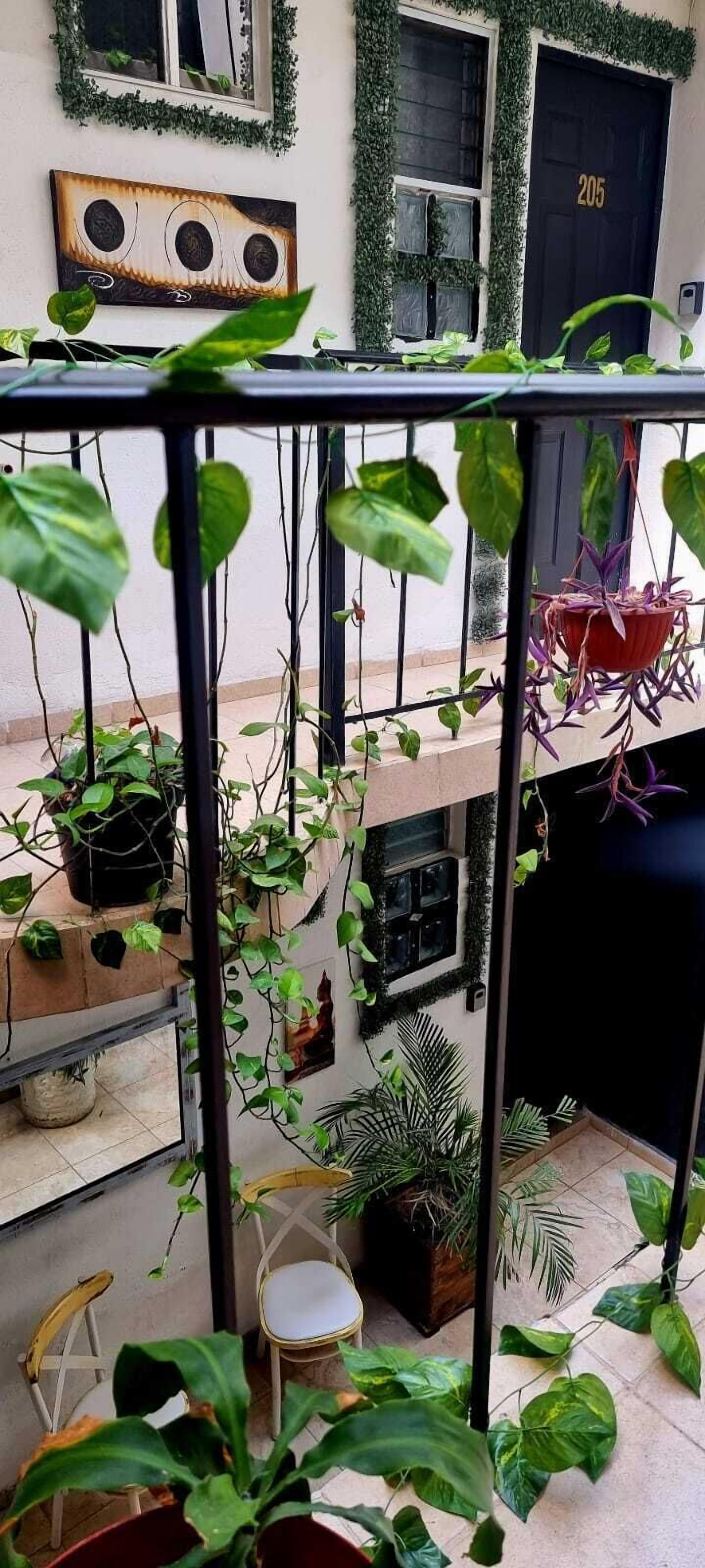 Foto - MINI HOTEL San Luis Potosí