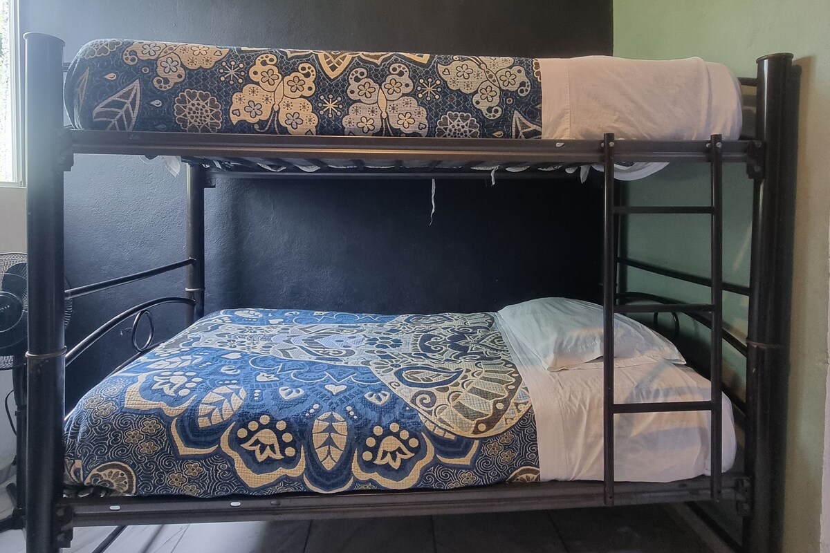 Una cama litera con ropa de cama estampada, un ventilador y una ventana en una habitación con paredes verdes.