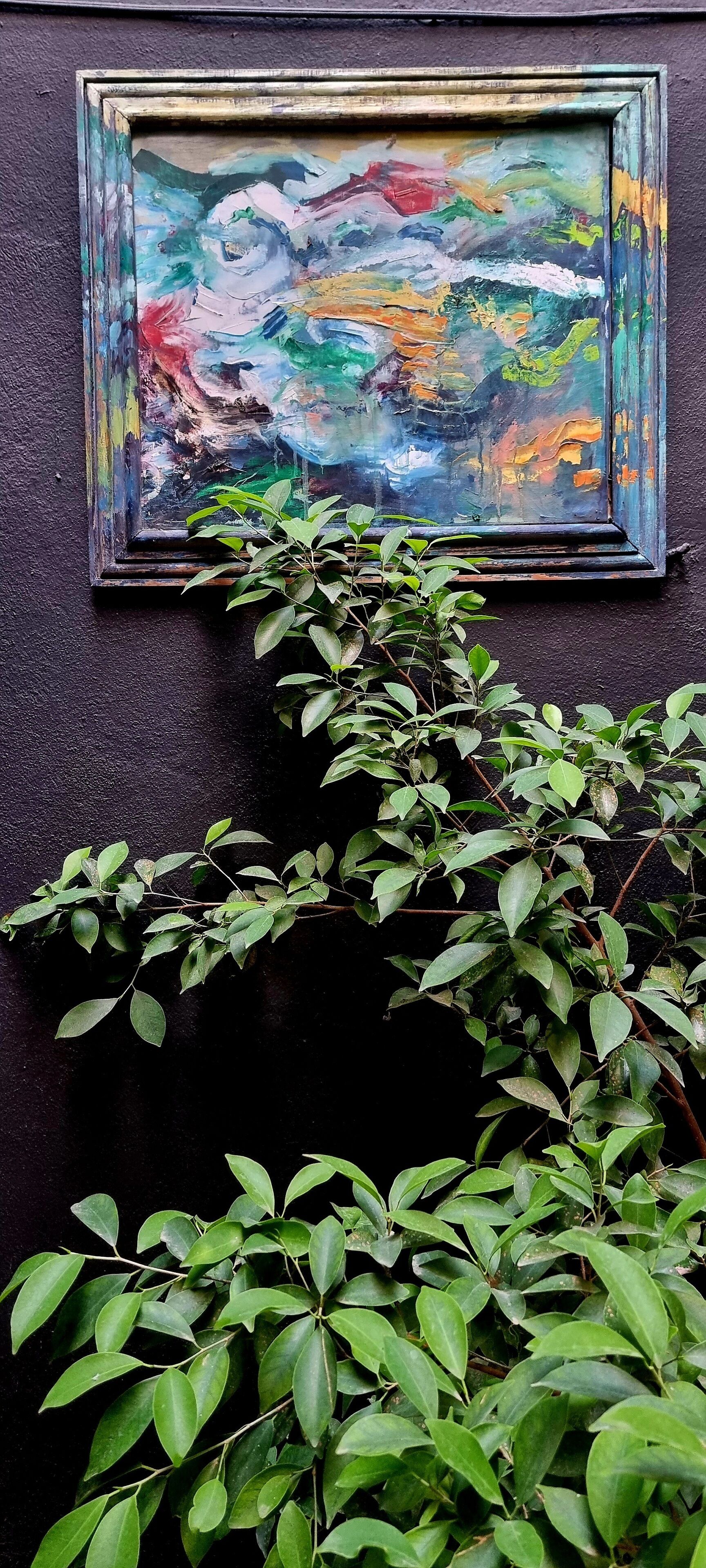 Foto - MINI HOTEL San Luis Potosí