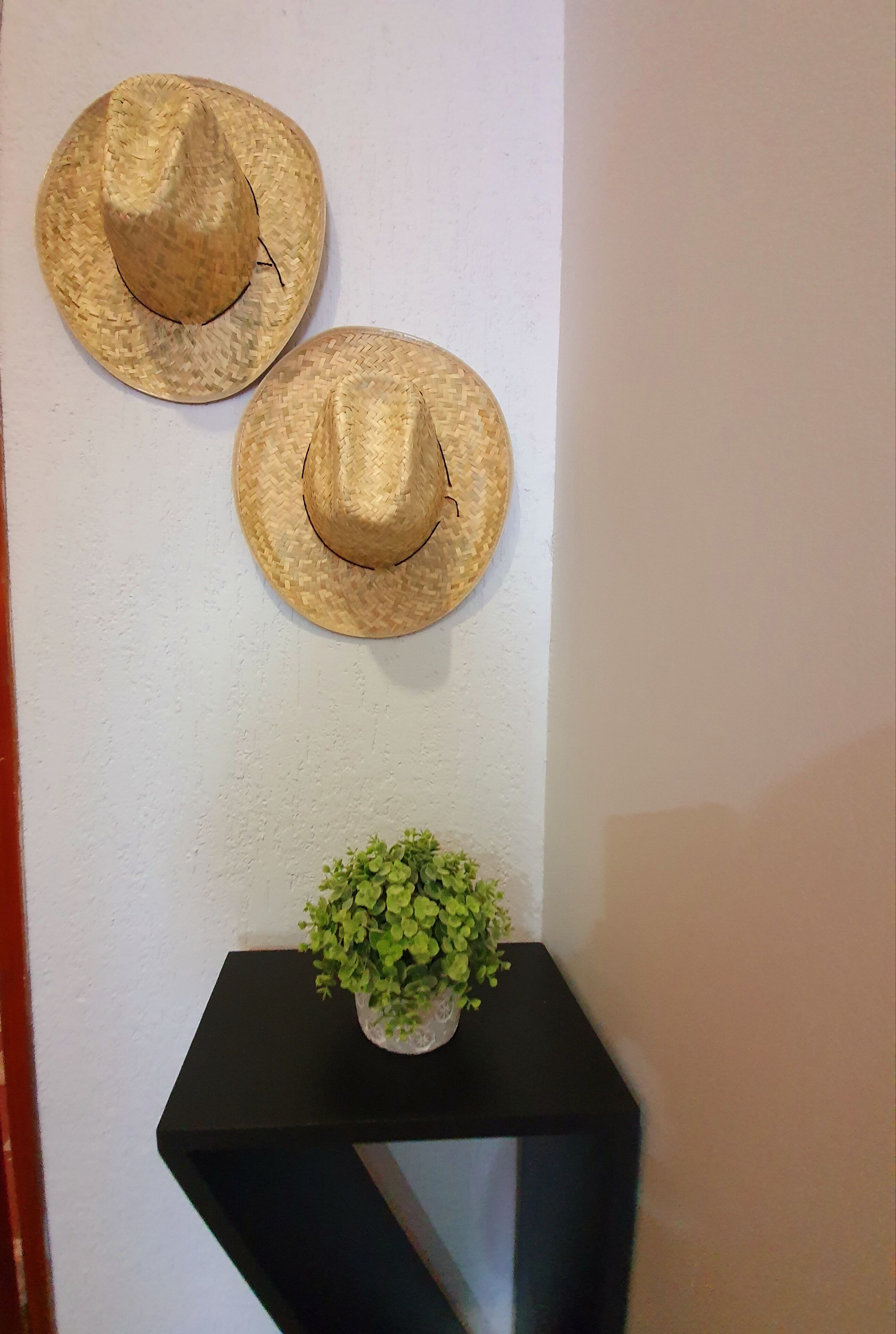 superior studio suite | 1 bedroom, individually decorated, individually furnished, desk