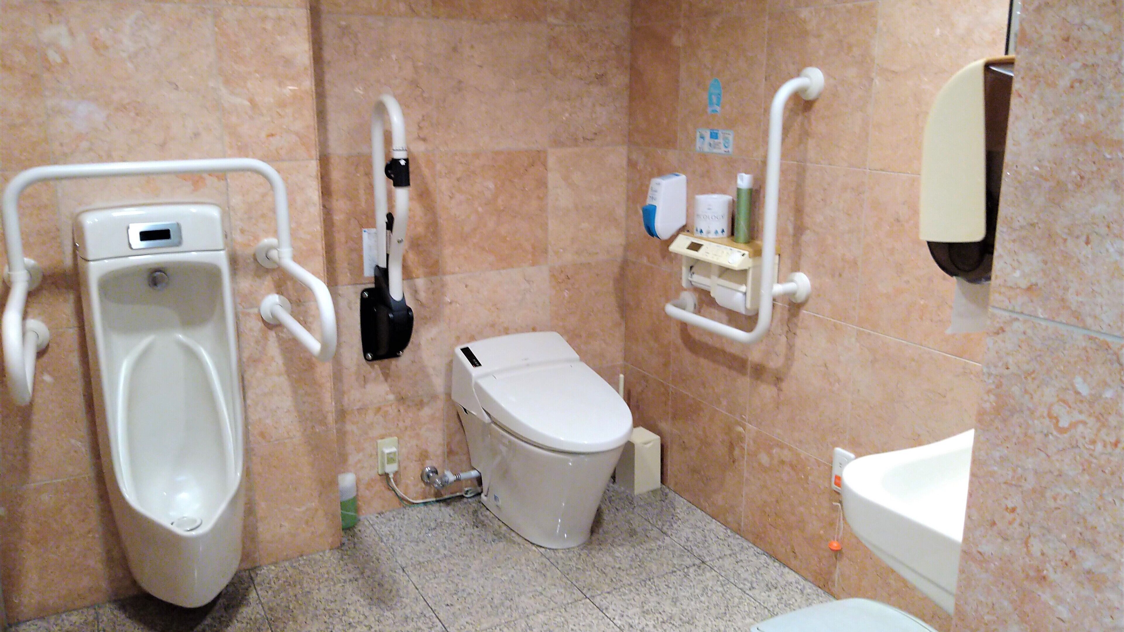 A men's restroom with a urinal, toilet, and handrails.