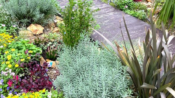 Un sendero en un jardín con diversas plantas y flores.